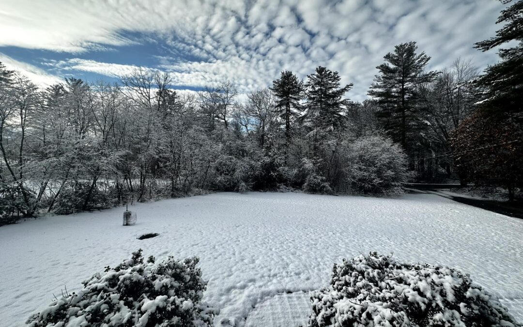 ️Snow 01-07-2023