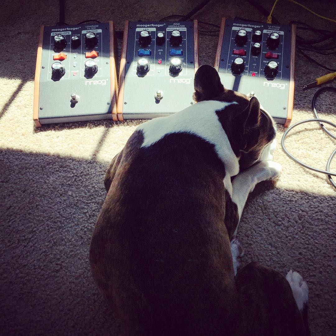 Miles worships my Moogerfoogers