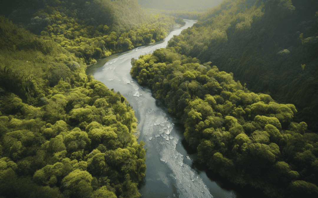 Unleash Your Creative Flow: The Ultimate Guide to Achieving a Flow State